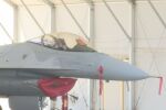 Заради изтребителите F-16: Спор между Румен Радев и министъра на отбраната