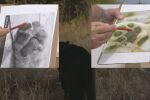 Хищникът в Шумен: Следата е на куче, а не на леопард