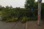 Градушка, дъжд и силен вятър в Плевенско: Паднали дървета и населени места без ток (СНИМКИ)