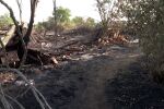 „Трагедията е голяма“: Огънят е унищожил къщата на най-възрастното семейство в Козарево