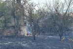 Огнеборци гасят пожар във вилна зона край Ямбол (СНИМКИ)
