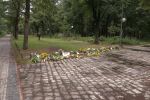 След трагедията в Берлин: Какво се знае за нападателя Абдул Балут? (ОБЗОР)