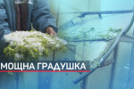 Погром след градушката: Главен булевард в Пловдив остана без асфалт (ОБЗОР)