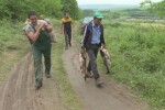 След скъсване на язовирна стена: Тонове риба се изсипаха в нивите