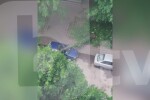 Дърво падна върху кола на улица в Стара Загора