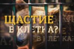 bTV Репортерите: Щастие в клетка?