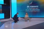 bTV Новините ти дават сила: Среща с Елена Андреева, която дресира кучета и помага на незрящи