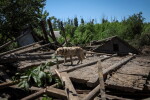 Зеленски нареди задължителна евакуация на цивилни от Донецка област