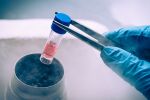 Учени са все по-близо да възстановят увреждане на белите дробове и сърцето