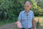 От овошки до сусам в един двор: Иван разказва за тайната на „природното земеделие“