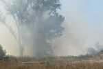 Сметище пламна в Пловдивско, в близост има дърводелски цех (СНИМКИ)