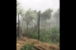Градушка, вятър и дъжд: Силна буря в Ямболско (ВИДЕО)