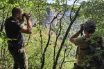 Търсенето продължава: Къде е шуменският хищник?