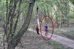 Въпреки хищника на свобода: Мъж разходи кучето си в Шуменското плато