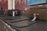 Нискотарифни неволи: Авиокомпании под съд заради условията за ръчен багаж