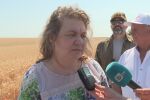 Наталия Киселова за вота на недоверие: Това е нарушение на процедурата