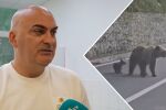 Нападнатият от мечка в Румъния българин: Стъклото на автомобила беше вестник за нея. За секунди влезе при мен