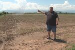 Инициативата „Кошница с грижа“: Притеснения сред производителите на оранжерийна продукция