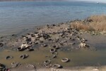 Спряха изтичането на отпадни води във Варненското езеро