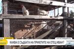 Каква е съдбата на приютите на отец Иван?