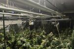 Прокуратурата отчете над 800 разследвания за наркотици за месец
