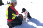 В добри ръце и сигурни лапи: Българските спасителни кучета на Витоша са на световно ниво