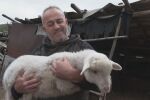 „Щастливи сме, че са живи“: Стопанинът за спасените овце и агънце