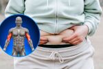 Коремни мазнини и загуба на мускулна маса увеличават риска от смърт с 83%