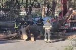 Голямо дърво падна в Рим и рани двама души (ВИДЕО)