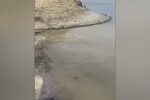 Акт за ВиК Бургас за изливането на фекални води на плаж в „Крайморие“