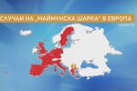 Проф. Александрова за маймунската шарка: Много вероятно е да достигне и до България