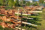 101 чевермета въртят в Златоград за Гергьовден (ГАЛЕРИЯ)