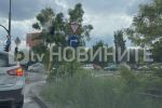 Верижна катастрофа в тунел „Люлин“ в София (ВИДЕО)