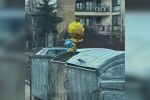 „Кофите на София“: Защо актьорът Стефан Стоянов тръгна на лов за отпадъци?