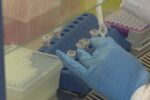 Онкопациенти в очакване: Защо Здравната каса все още не плаща за биомаркери?