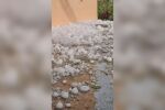 Градушка и в Ямболско: Поражения има в повече от 10 села (ВИДЕО)