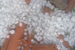 „Ще пием една студена вода“: Обезщетения след градушките, но само при 100% загуби