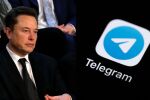 Илон Мъск сключи сделка за 300 милиона долара с Telegram на Дуров
