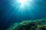 Учени откриха живот при 400°C на дъното на Карибско море
