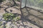 Агенцията за социално подпомагане е в готовност да подкрепи пострадали от валежи и градушки