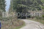 Две мечки са нападнали мъжа, намерен мъртъв на Витоша