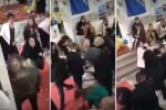 Скандал на бал: Майки се сбиха за място на дипломирането, искали да снимат по-добре абитуриентите (ВИДЕО)