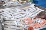 Добър улов тази година: По-скъпо ли ще е на рибните пазари?