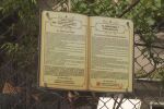 С 500 души, но със стотици хиляди книги: Как врачанското Челопек стана единственото българско „село на книгата“?