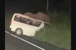 Най-малко трима души загинаха, след като колата им се сблъска със слон (СНИМКИ)