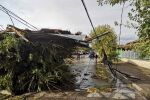 Буря с ураганен вятър остави три села без ток в Хасковско (СНИМКИ)