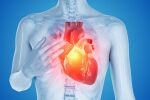 Заглушен ген може да самолекува сърцето