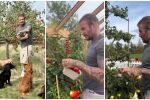 „Перфектната ни вечер? Чаша вино сред зеленчуците“: Как сър Дейвид Бекъм се превърна в градинар?