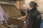 „Давах им ги безплатно. Накрая ги изгорих“: Фермер от Германия унищожи 400 тона от картофите, които произведе