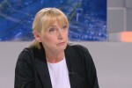 Елена Йончева: Мигранти прескачат оградата по границата със стълба, има снимка